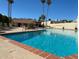 Community pool area featuring palm trees and lounge chairs, perfect for relaxation at 7921 E Bonita Dr, Scottsdale, AZ 85250