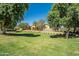 Large green space with mature trees and landscaping in a well-maintained community at 1367 S Country Club Dr # 1127, Mesa, AZ 85210