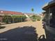 Well-maintained backyard with privacy fence and gravel at 15801 W Goldenrod Dr, Surprise, AZ 85374