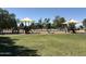 Fun playground area with slides, swings, and climbing structures surrounded by green grass and shade at 16425 N 46Th Dr, Glendale, AZ 85306