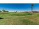 Scenic golf course with lush green grass and mature trees under a clear blue sky at 16747 W Berkeley Rd, Goodyear, AZ 85395