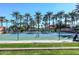 Community tennis court surrounded by towering palm trees, ready for sports enthusiasts at 17630 N Somerset Dr, Surprise, AZ 85374