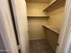 Organized walk-in closet featuring built-in shelving at 2019 W Lemon Tree Pl # 1124, Chandler, AZ 85224