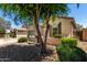 Exterior view of a one-story home with desert landscaping and a mature shade tree in the front yard at 21059 E Pickett St, Queen Creek, AZ 85142