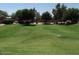 Well-maintained community green space featuring lush grass, shade trees, and landscaping at 21059 E Pickett St, Queen Creek, AZ 85142