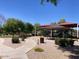 Community playground with picnic tables, a covered seating area, and mature trees at 21059 E Pickett St, Queen Creek, AZ 85142