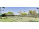 Enjoy a well-maintained tennis court with lighting for evening play and surrounding mature trees at 30031 N Little Leaf Dr, San Tan Valley, AZ 85143