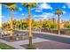 Scenic street view with lush palm trees, modern buildings, and landscaped sidewalk at 306 W Culver St, Phoenix, AZ 85003