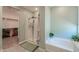 Relaxing bathroom with separate tub, shower, and walk-in closet for maximum comfort and convenience at 35175 W Marin Ave, Maricopa, AZ 85138