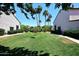 Lush green common area with palm trees, landscaping, and walkways in a residential community at 4114 E Union Hills Dr # 1088, Phoenix, AZ 85050