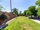 Spacious backyard with mature trees, lush green grass, and a desert landscape at 4335 E Enrose St, Mesa, AZ 85205
