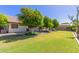 This house has a large backyard with manicured trees and lush green grass at 4335 E Enrose St, Mesa, AZ 85205