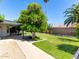 Relaxing backyard features a covered patio, mature trees, and lush green grass at 4335 E Enrose St, Mesa, AZ 85205