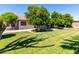 A lush backyard with vibrant green grass, mature trees, and shade at 4335 E Enrose St, Mesa, AZ 85205