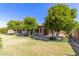 A backyard with mature trees providing lots of shade and lush green grass at 4335 E Enrose St, Mesa, AZ 85205