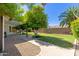 Beautiful backyard with trees, lush grass, walkway, and covered patio at 4335 E Enrose St, Mesa, AZ 85205