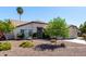 Beautiful home with desert landscaping, mature trees, and a spacious driveway leading to a two-car garage at 4335 E Enrose St, Mesa, AZ 85205