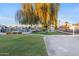 Well-maintained community pool area featuring a large shade tree and well manicured lawn at 535 S Alma School Rd # 17, Mesa, AZ 85210