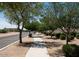 Community sidewalk lined with mature shade trees and desert landscaping along a street at 5781 E Iris Dr, Florence, AZ 85132