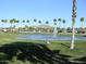 Scenic view of a pond with a fountain, surrounded by palm trees, and lush green grass in a beautiful community at 6873 S Lake Forest Ct, Chandler, AZ 85249