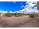 This home has a spacious back yard featuring desert landscaping with mature cactus and shrubs at 8248 E Emelita Ave, Mesa, AZ 85208