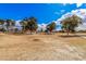 Expansive community greenspace with trees and visible recreation area, perfect for outdoor activities and relaxation at 8248 E Emelita Ave, Mesa, AZ 85208