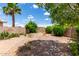 Lush backyard with desert landscaping and mature trees at 11520 W Lizard Ct, Surprise, AZ 85378