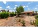 Expansive backyard featuring desert landscaping, a covered patio, and plenty of room for relaxing and entertaining at 11520 W Lizard Ct, Surprise, AZ 85378