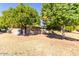 Spacious backyard with mature trees, providing shade and privacy to the property at 13823 N 99Th Dr, Sun City, AZ 85351