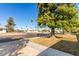 Neighborhood street with mature landscaping, palm trees, and well-maintained homes at 13823 N 99Th Dr, Sun City, AZ 85351