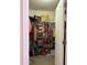 Walk-in closet with ample storage space, racks, and shelves at 1448 E Mobile Ln, Phoenix, AZ 85040