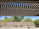 A view from under the pergola looking out at the backyard at 15352 W Ventura St, Surprise, AZ 85379
