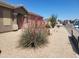 Desert landscaping with vibrant red yucca plants enhances the curb appeal of this charming home at 1769 E Jacob St, San Tan Valley, AZ 85140