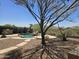 Expansive backyard featuring a pool, barbecue area, mature trees, and desert landscaping at 18359 W Sweet Acacia Dr, Goodyear, AZ 85338