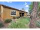 Landscaped backyard features lush plants, artificial grass and a cozy patio at 19291 E Thornton Rd, Queen Creek, AZ 85142