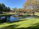 Scenic community pond with a pedestrian bridge, surrounded by lush green landscape at 2042 W Periwinkle Way, Chandler, AZ 85248