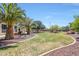 Oversized landscaped backyard with desert rock, mature trees and ample room for entertaining at 2726 S 160Th Ave, Goodyear, AZ 85338
