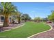 Expansive backyard features lush green grass, elegant landscaping, mature trees, and a charming desert aesthetic at 2726 S 160Th Ave, Goodyear, AZ 85338