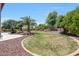 Expansive backyard oasis features mature landscaping, lush green grass, and decorative rock at 2726 S 160Th Ave, Goodyear, AZ 85338