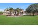 Well-maintained backyard featuring an expansive green lawn, tall palm trees, and a covered patio at 2726 S 160Th Ave, Goodyear, AZ 85338
