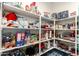Organized pantry with ample shelving for storage and easy access to food items at 30089 W Rockmount Ave, Buckeye, AZ 85396