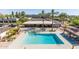 Community pool area with lounge chairs and mature palm trees at 4750 N Central Ave # G3, Phoenix, AZ 85012