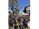 Community street view featuring a neighborhood watch sign and landscaping with vibrant purple petunias at 6845 W Caron Dr, Peoria, AZ 85345