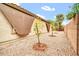 Rockscaped side yard featuring young trees that provide a natural privacy screen at 7425 N 75Th Dr, Glendale, AZ 85303