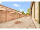 Rockscaped side yard featuring young trees providing a natural privacy screen at 7425 N 75Th Dr, Glendale, AZ 85303