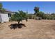 Spacious backyard with a green tree, perfect for outdoor activities and relaxation at 15445 N Verde St, Surprise, AZ 85378