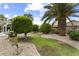 Private backyard with a lush lawn, mature trees, and beautiful landscaping, offering a serene retreat at 15501 W Camino Real Way, Surprise, AZ 85374