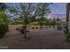 Expansive backyard provides a tranquil retreat with a fire pit, seating, and lush landscaping at 15849 N 46Th Pl, Phoenix, AZ 85032