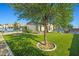 Lush backyard with mature trees, a pool, and a well-maintained lawn at 16396 W Fillmore St, Goodyear, AZ 85338