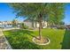 Expansive backyard featuring lush artificial turf, mature trees, and a refreshing pool area at 16396 W Fillmore St, Goodyear, AZ 85338
